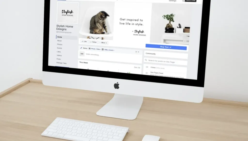 social media management agency