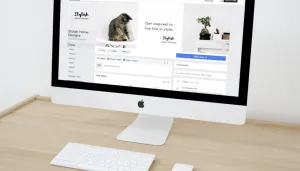 social media management agency