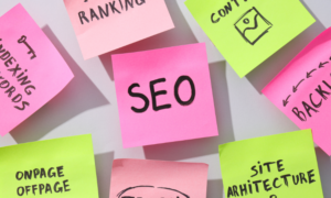 Video SEO untuk Website Jasa Fuzzycommunity