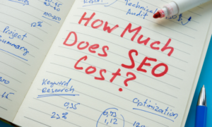 harga jasa seo website Fuzzy Community