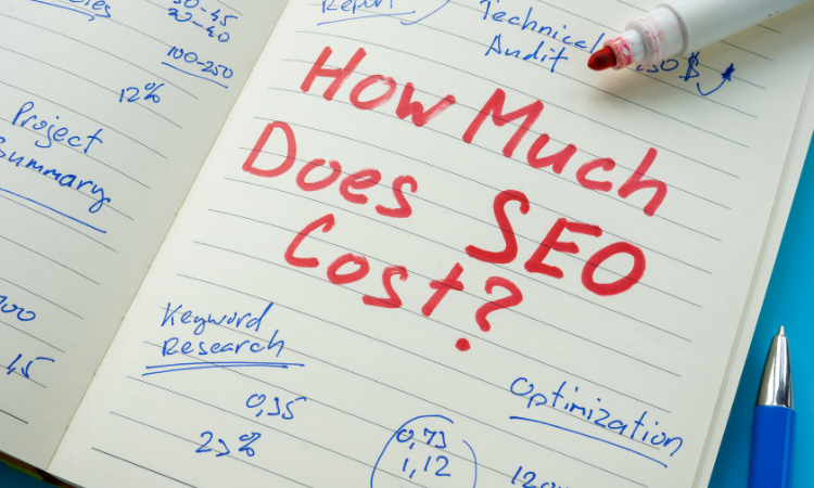 harga jasa seo website Fuzzy Community