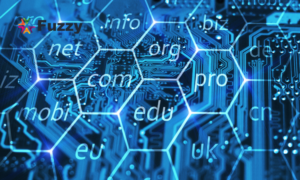 domain dan hosting - Fuzzy Community